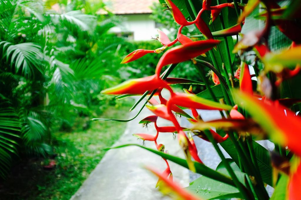 The Nature House Aonang Krabi Thailand Ao Nang ภายนอก รูปภาพ